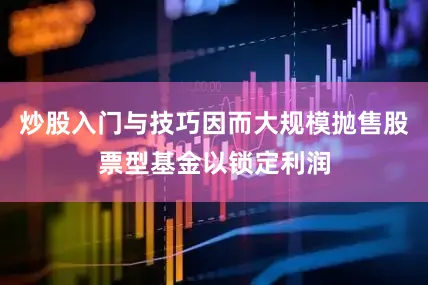 炒股入门与技巧因而大规模抛售股票型基金以锁定利润
