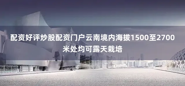配资好评炒股配资门户云南境内海拔1500至2700米处均可露天栽培