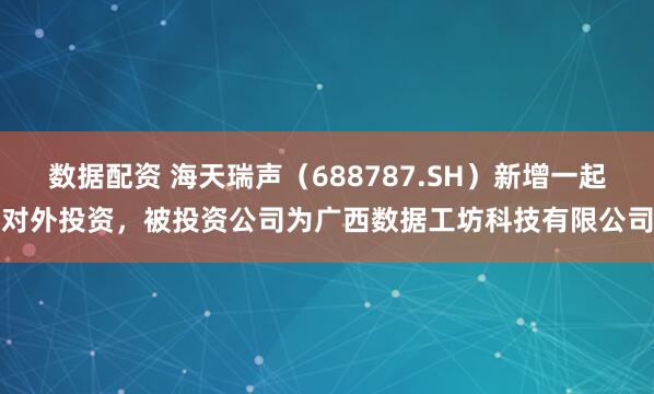 数据配资 海天瑞声（688787.SH）新增一起对外投资，被投资公司为广西数据工坊科技有限公司